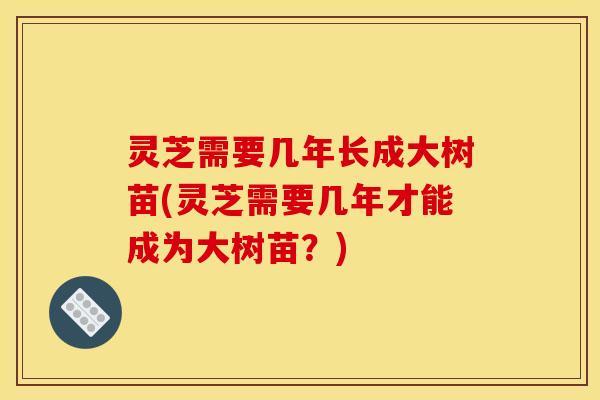 灵芝需要几年长成大树苗(灵芝需要几年才能成为大树苗？)