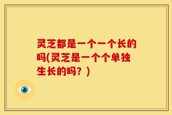 灵芝都是一个一个长的吗(灵芝是一个个单独生长的吗?)