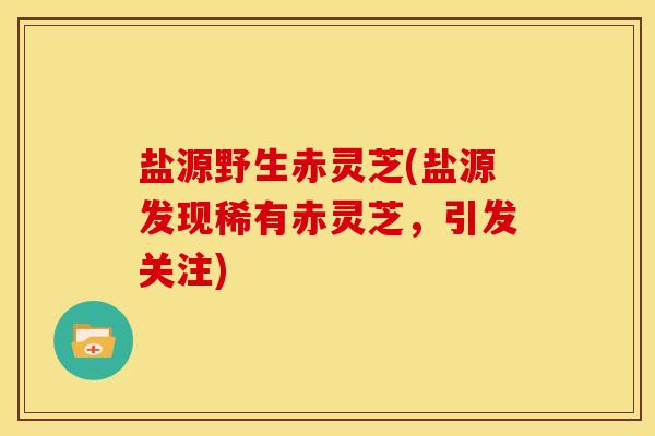 盐源野生赤灵芝(盐源发现稀有赤灵芝,引发关注)