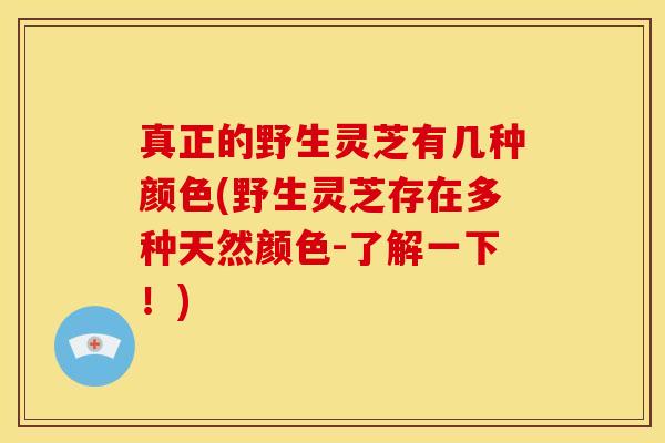 真正的野生灵芝有几种颜色(野生灵芝存在多种天然颜色-了解一下!)
