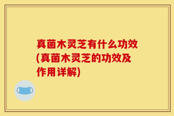 真菌木灵芝有什么功效(真菌木灵芝的功效及作用详解)