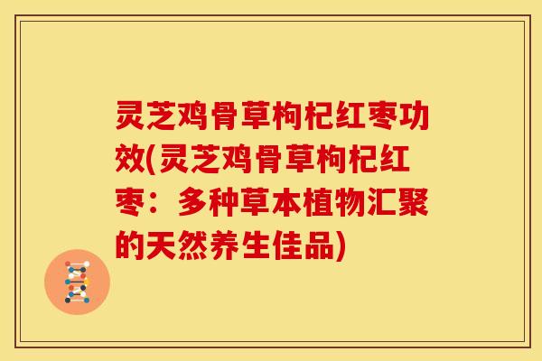 灵芝鸡骨草枸杞红枣功效(灵芝鸡骨草枸杞红枣:多种草本植物汇聚的天然养生佳品)
