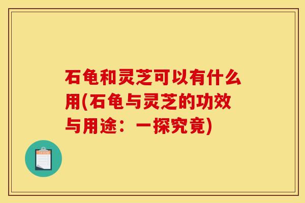 石龟和灵芝可以有什么用(石龟与灵芝的功效与用途:一探究竟)