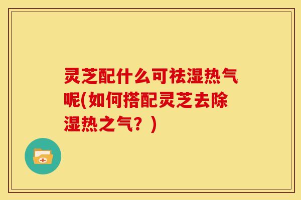 灵芝配什么可祛湿热气呢(如何搭配灵芝去除湿热之气?)