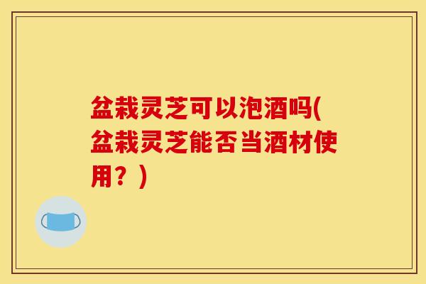 盆栽灵芝可以泡酒吗(盆栽灵芝能否当酒材使用?)
