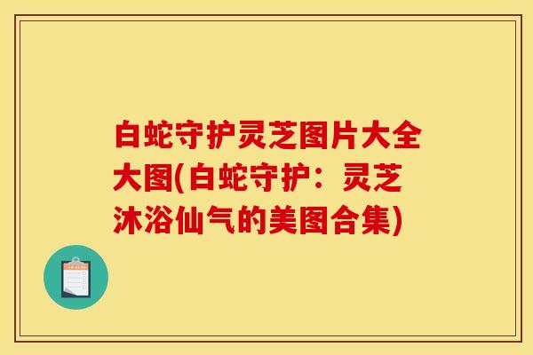 白蛇守护灵芝图片大全大图(白蛇守护:灵芝沐浴仙气的美图合集)