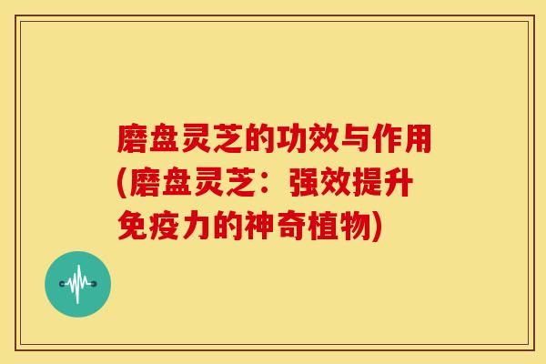 磨盘灵芝的功效与作用(磨盘灵芝:强效提升免疫力的神奇植物)
