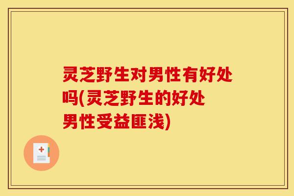 灵芝野生对男性有好处吗(灵芝野生的好处 男性受益匪浅)