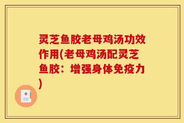 灵芝鱼胶老母鸡汤功效作用(老母鸡汤配灵芝鱼胶:增强身体免疫力)