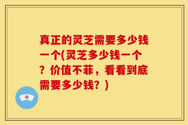 真正的灵芝需要多少钱一个(灵芝多少钱一个?价值不菲,看看到底需要多少钱?)