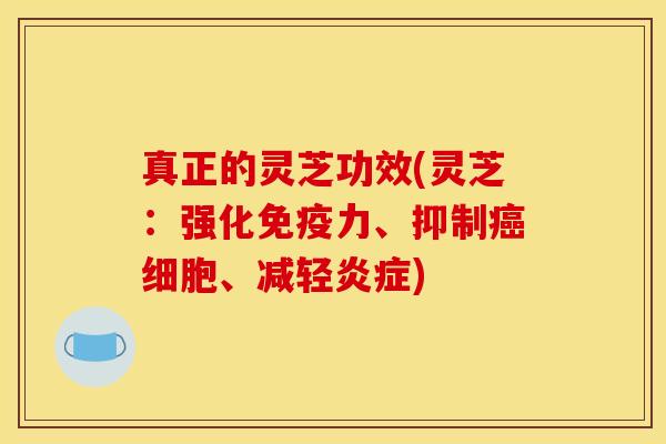 真正的灵芝功效(灵芝:强化免疫力、抑制癌细胞、减轻炎症)
