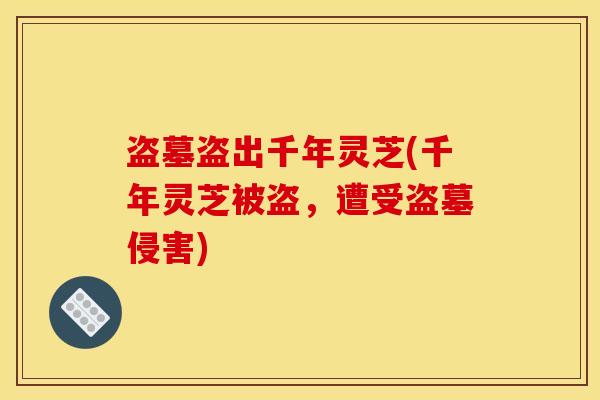 盗墓盗出千年灵芝(千年灵芝被盗，遭受盗墓侵害)