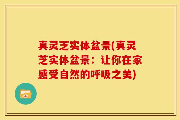 真灵芝实体盆景(真灵芝实体盆景:让你在家感受自然的呼吸之美)