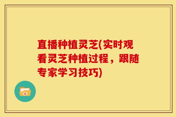 直播种植灵芝(实时观看灵芝种植过程,跟随专家学习技巧)