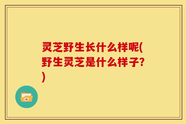 灵芝野生长什么样呢(野生灵芝是什么样子?)