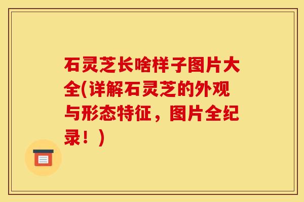 石灵芝长啥样子图片大全(详解石灵芝的外观与形态特征,图片全纪录!)