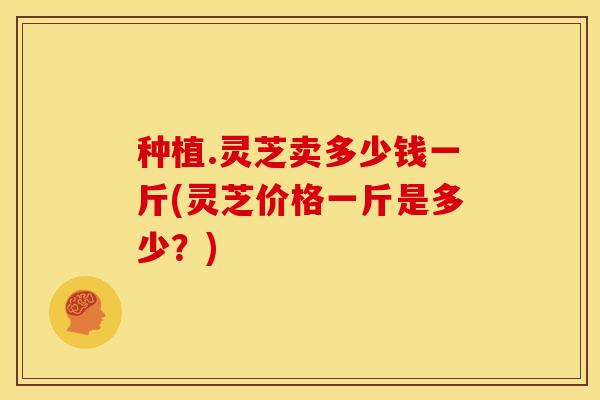 种植.灵芝卖多少钱一斤(灵芝价格一斤是多少？)