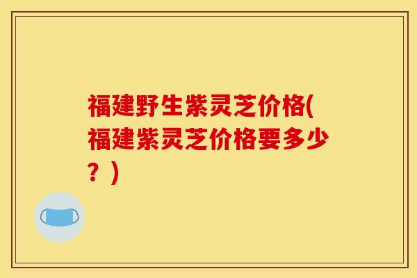 福建野生紫灵芝价格(福建紫灵芝价格要多少?)