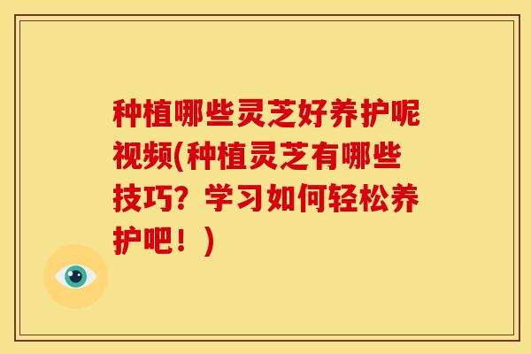 种植哪些灵芝好养护呢视频(种植灵芝有哪些技巧?学习如何轻松养护吧!)