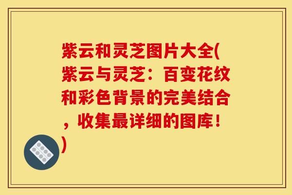紫云和灵芝图片大全(紫云与灵芝：百变花纹和彩色背景的完美结合，收集最详细的图库！)