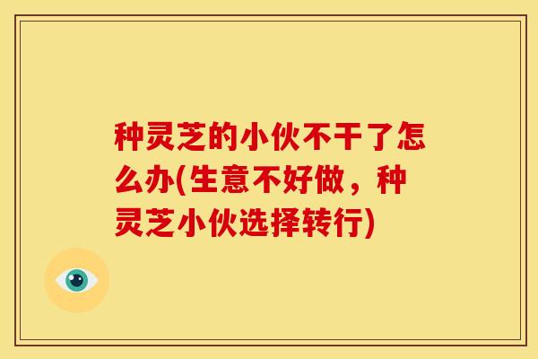 种灵芝的小伙不干了怎么办(生意不好做，种灵芝小伙选择转行)