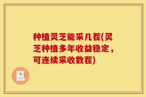 种植灵芝能采几茬(灵芝种植多年收益稳定,可连续采收数茬)