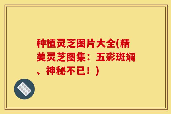 种植灵芝图片大全(精美灵芝图集：五彩斑斓、神秘不已！)