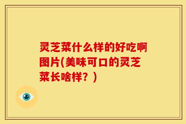 灵芝菜什么样的好吃啊图片(美味可口的灵芝菜长啥样？)