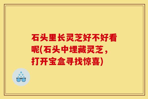 石头里长灵芝好不好看呢(石头中埋藏灵芝,打开宝盒寻找惊喜)