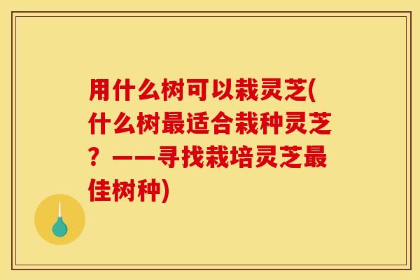 用什么树可以栽灵芝(什么树最适合栽种灵芝？——寻找栽培灵芝最佳树种)