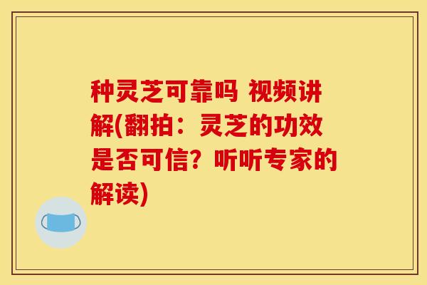 种灵芝可靠吗 视频讲解(翻拍:灵芝的功效是否可信?听听专家的解读)