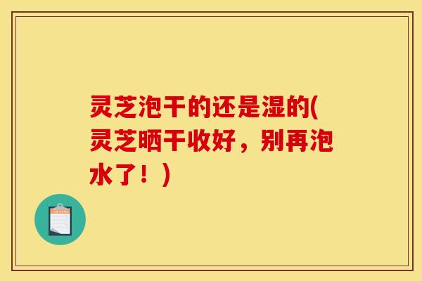 灵芝泡干的还是湿的(灵芝晒干收好,别再泡水了!)