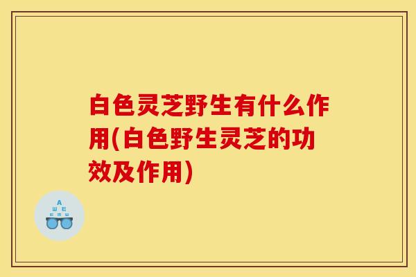 白色灵芝野生有什么作用(白色野生灵芝的功效及作用)