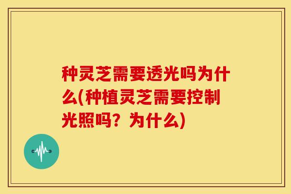 种灵芝需要透光吗为什么(种植灵芝需要控制光照吗?为什么)