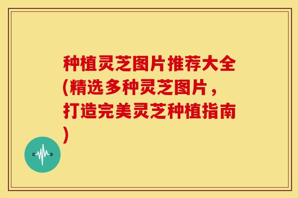 种植灵芝图片推荐大全(精选多种灵芝图片，打造完美灵芝种植指南)