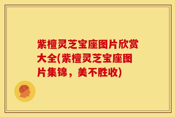 紫檀灵芝宝座图片欣赏大全(紫檀灵芝宝座图片集锦,美不胜收)