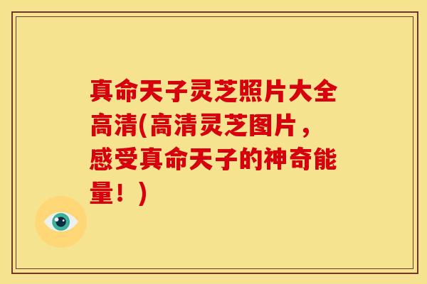真命天子灵芝照片大全高清(高清灵芝图片,感受真命天子的神奇能量!)