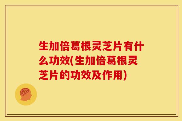 生加倍葛根灵芝片有什么功效(生加倍葛根灵芝片的功效及作用)