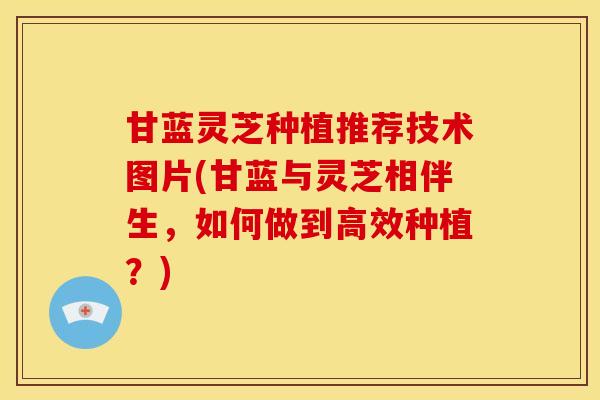 甘蓝灵芝种植推荐技术图片(甘蓝与灵芝相伴生,如何做到高效种植?)