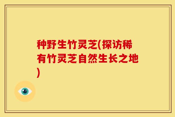 种野生竹灵芝(探访稀有竹灵芝自然生长之地)