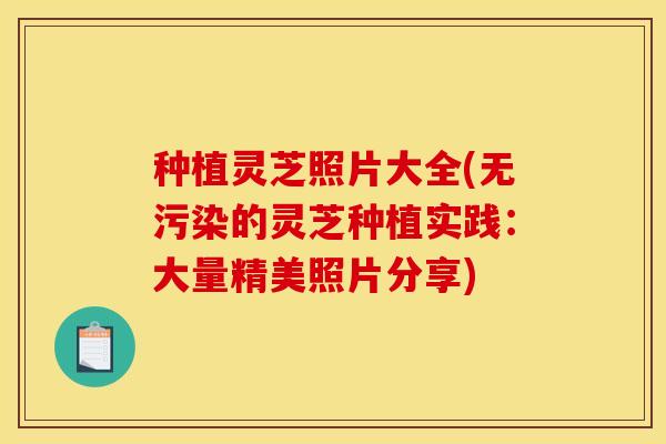 种植灵芝照片大全(无污染的灵芝种植实践:大量精美照片分享)