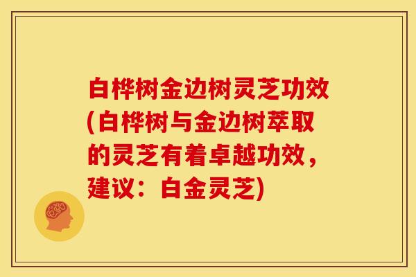 白桦树金边树灵芝功效(白桦树与金边树萃取的灵芝有着卓越功效,建议:白金灵芝)