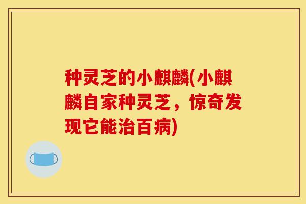 种灵芝的小麒麟(小麒麟自家种灵芝,惊奇发现它能治百病)