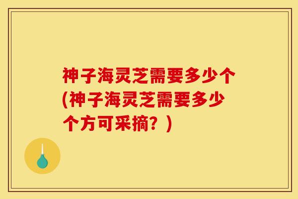 神子海灵芝需要多少个(神子海灵芝需要多少个方可采摘?)