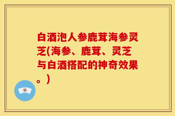白酒泡人参鹿茸海参灵芝(海参、鹿茸、灵芝与白酒搭配的神奇效果。)