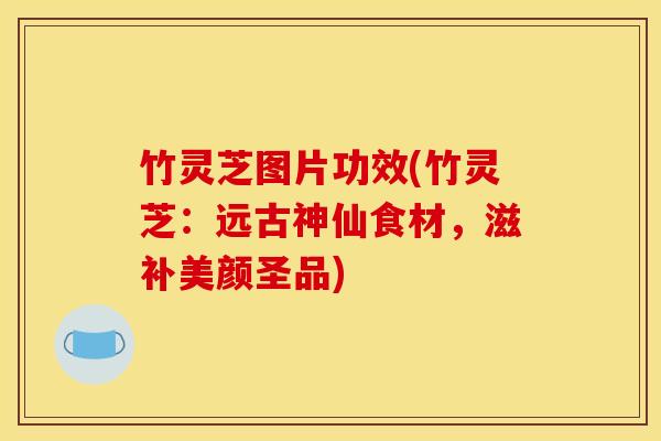 竹灵芝图片功效(竹灵芝:远古神仙食材,滋补美颜圣品)