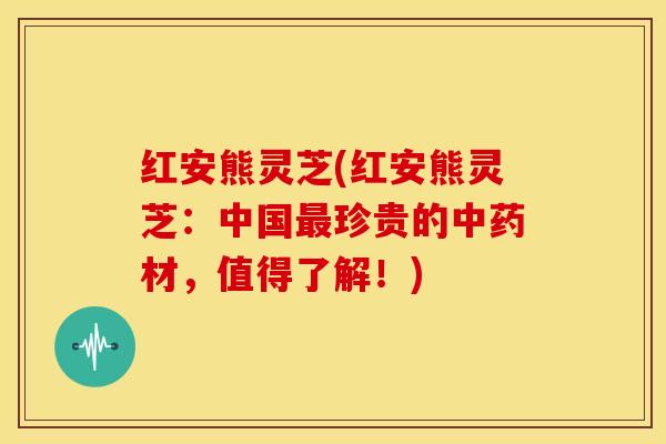 红安熊灵芝(红安熊灵芝:中国最珍贵的中药材,值得了解!)