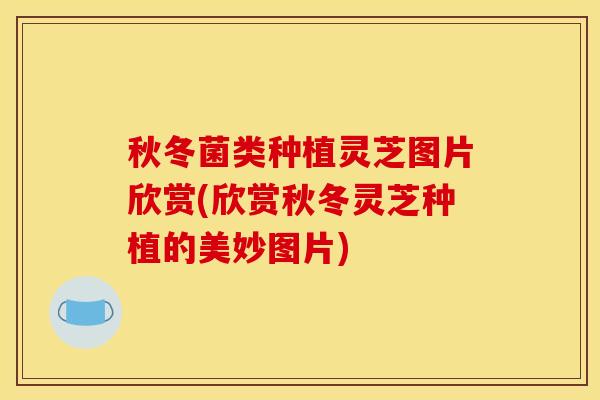 秋冬菌类种植灵芝图片欣赏(欣赏秋冬灵芝种植的美妙图片)