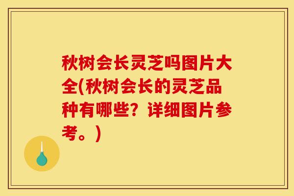 秋树会长灵芝吗图片大全(秋树会长的灵芝品种有哪些？详细图片参考。)