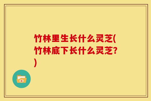 竹林里生长什么灵芝(竹林底下长什么灵芝？)